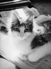 IMG_0006 ohne Kratzer